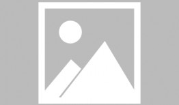 最新爆料的组装车,颠覆传统制造，引领汽车行业新潮流